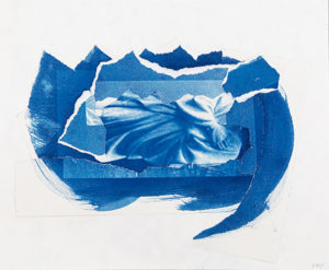 Leslie Fry. Blue Landscape. Cyanotype collage. 8 x 9.75 inches